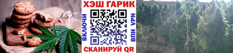 Canna-Cookies конопля  где купить   Зверево 