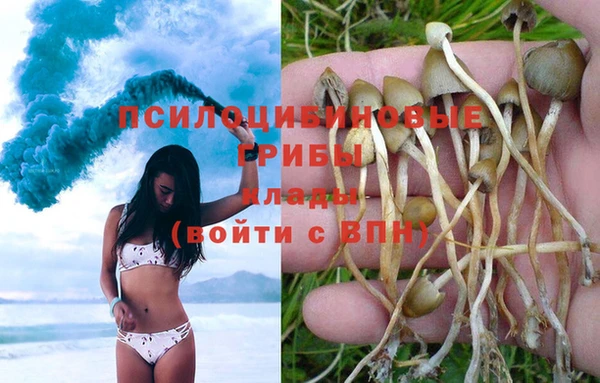 MESCALINE Надым