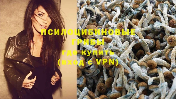 MESCALINE Надым